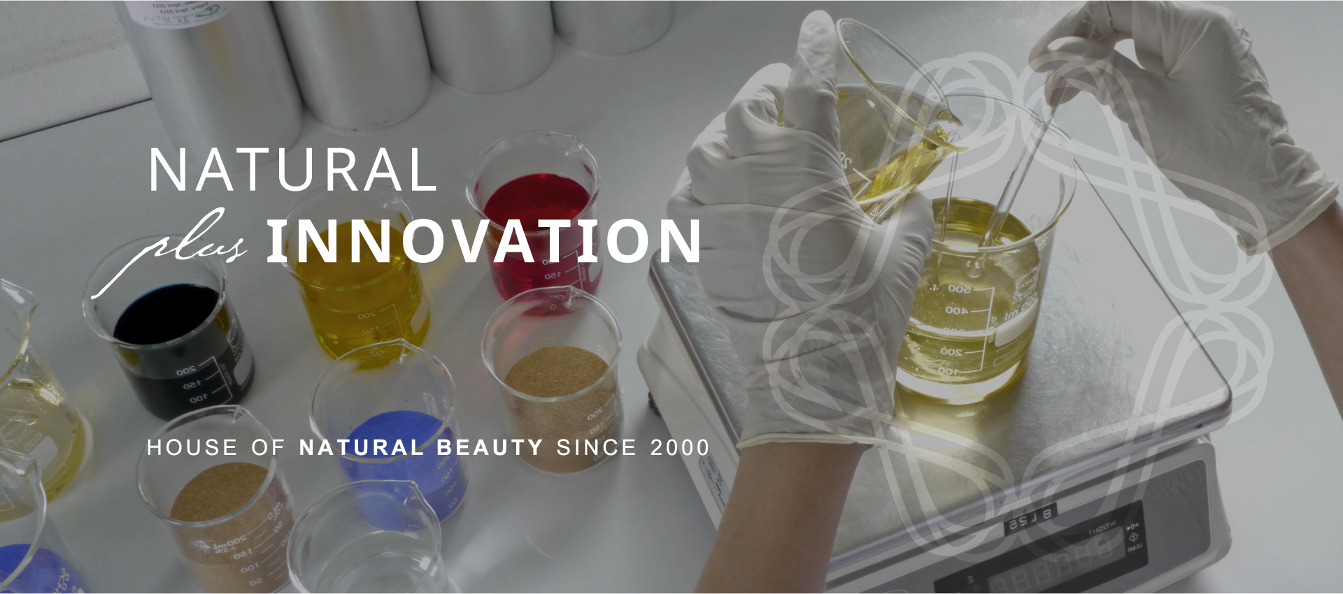 Banner Website_Reno2023-02